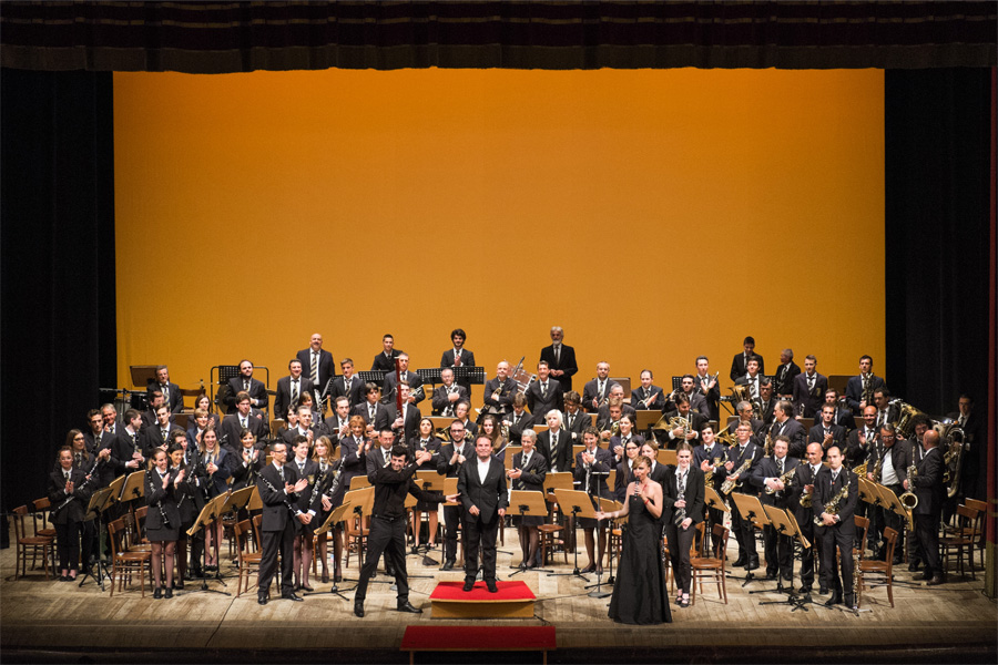 Concerto Teatro Grande Brescia - 29 Giugno 2014